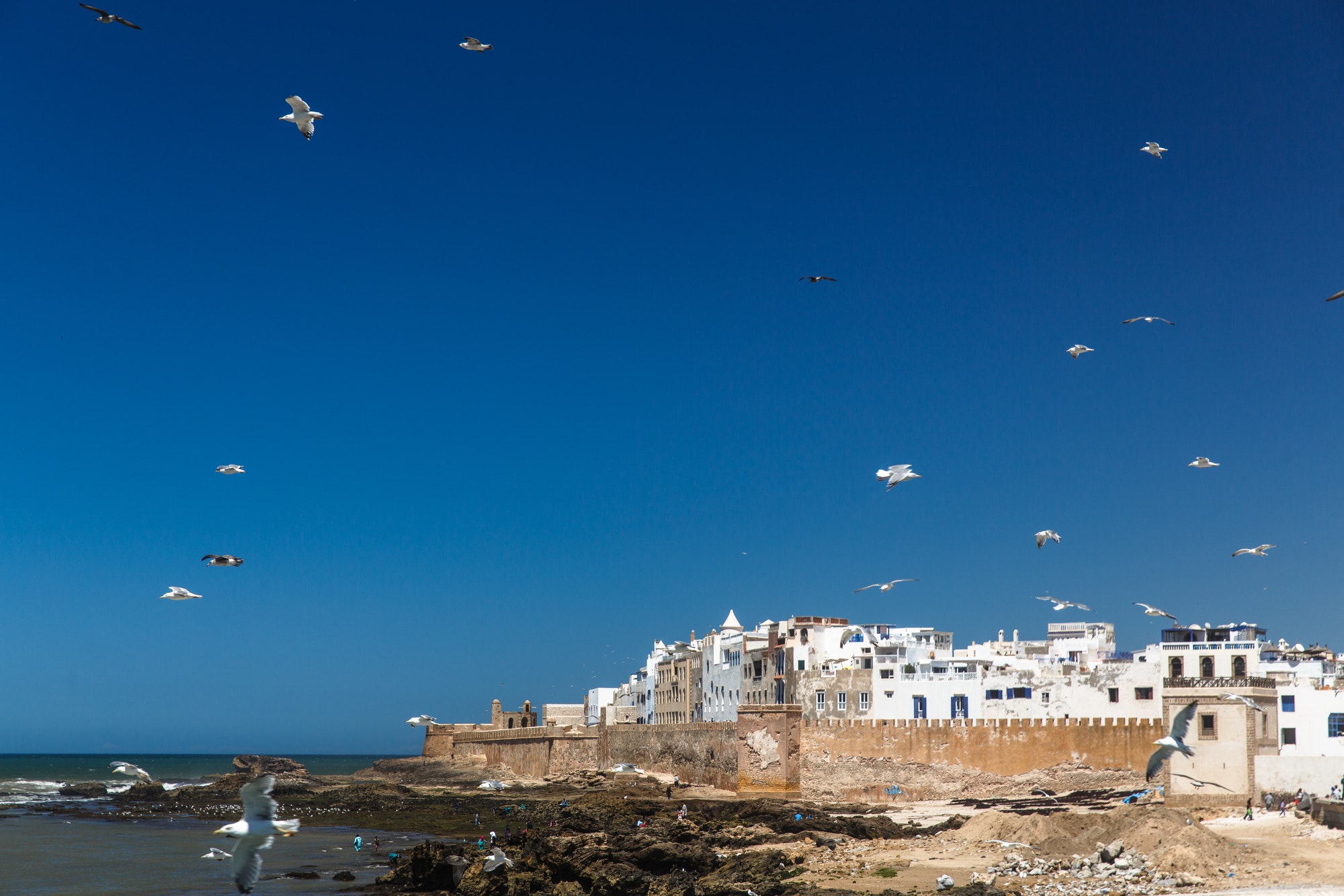 Panoramic view of Essaouira old city and ocean, Morocco