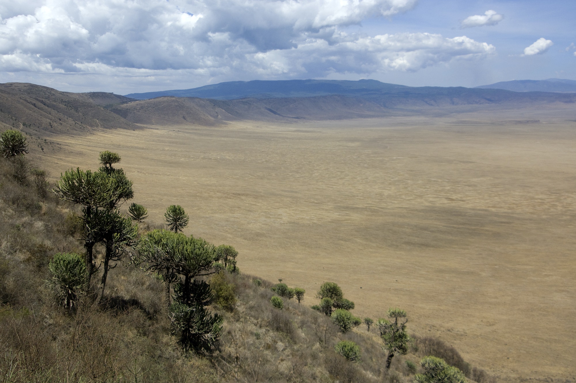 view on the Ngorongoro Crater, tanzania