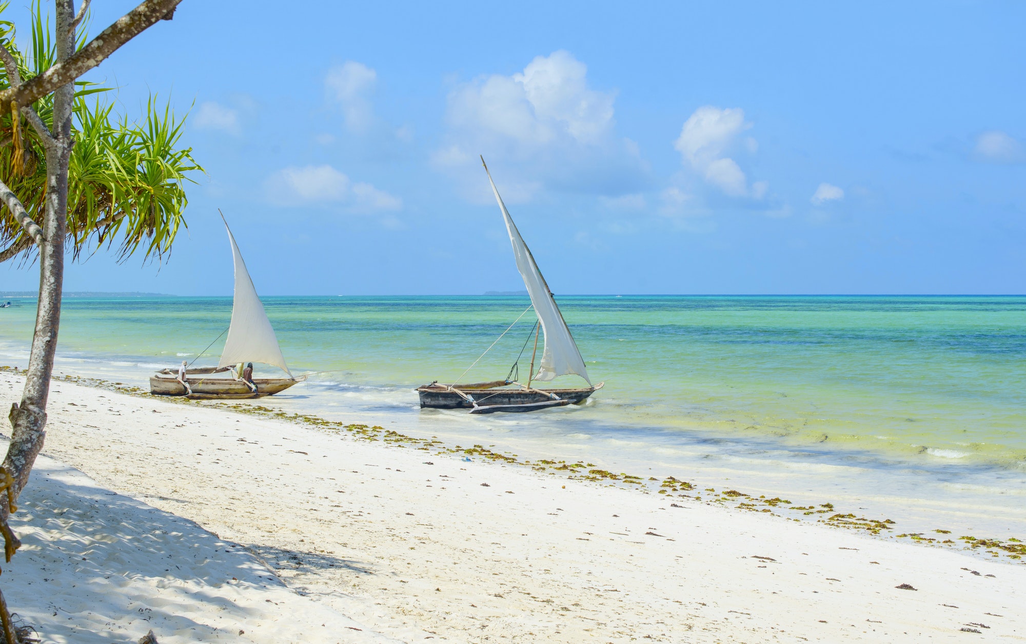 Zanzibar landscape