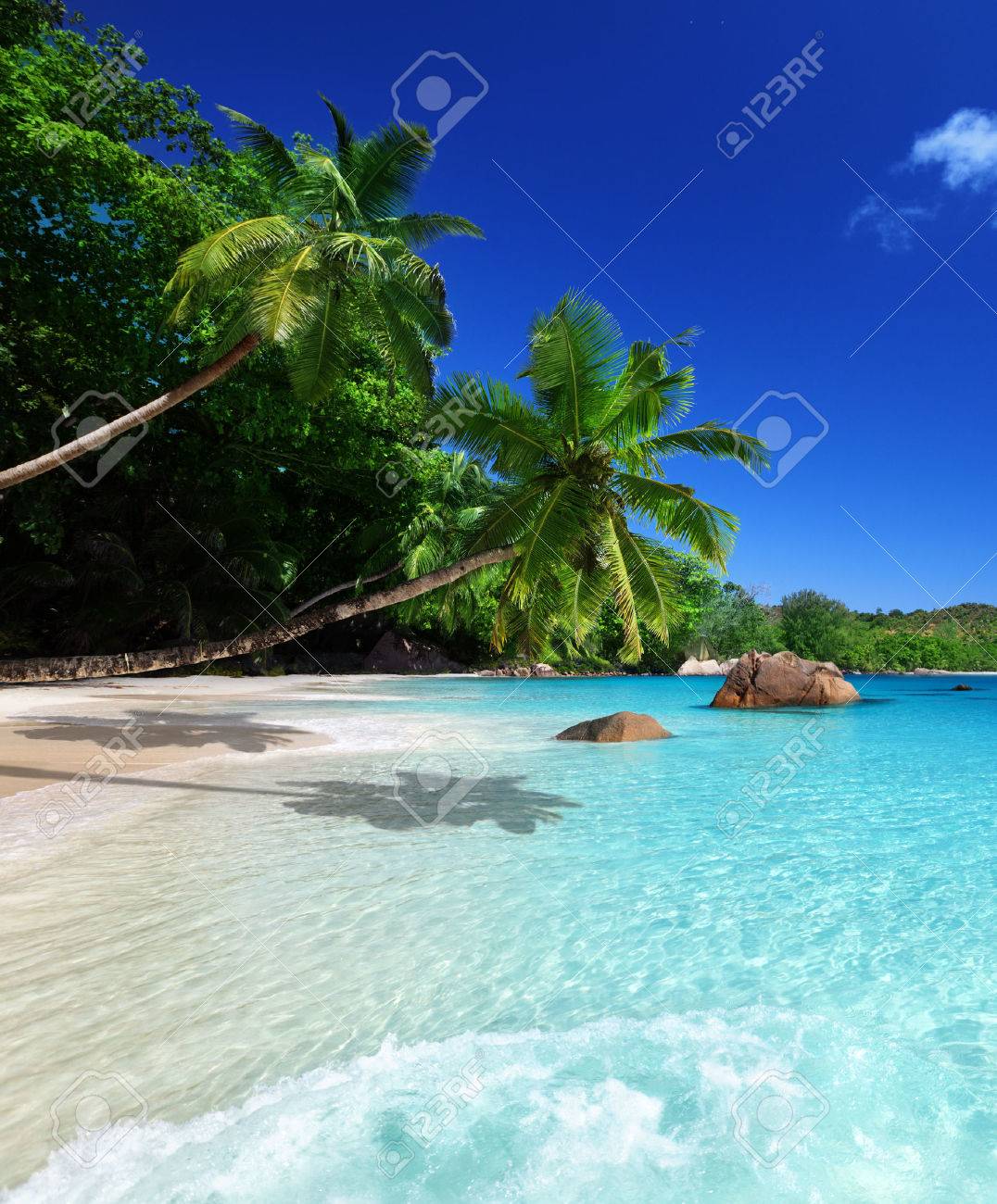 Beach-at-praslin-island-seychelles