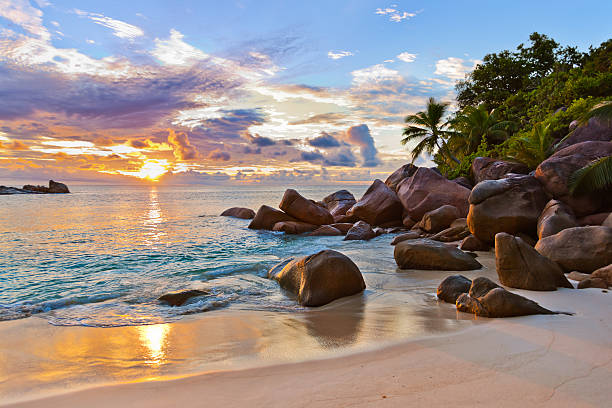 Seychelles tropical beach at sunset - nature background