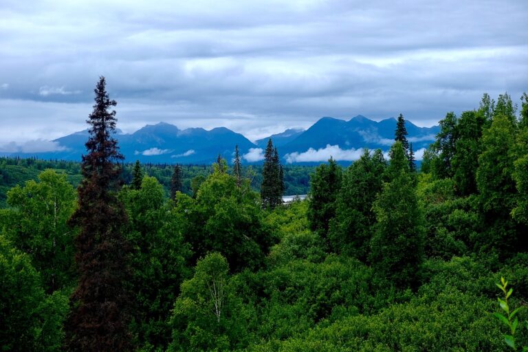 Denali National Park