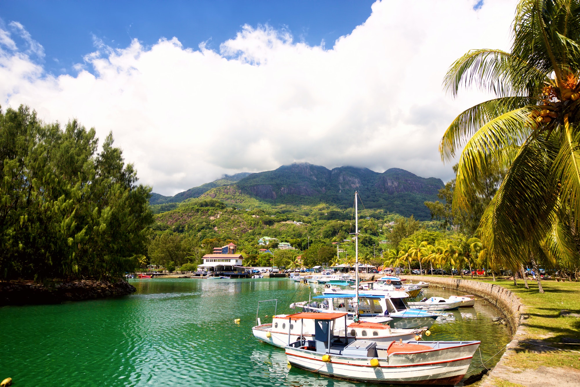 Marina in Seychelles