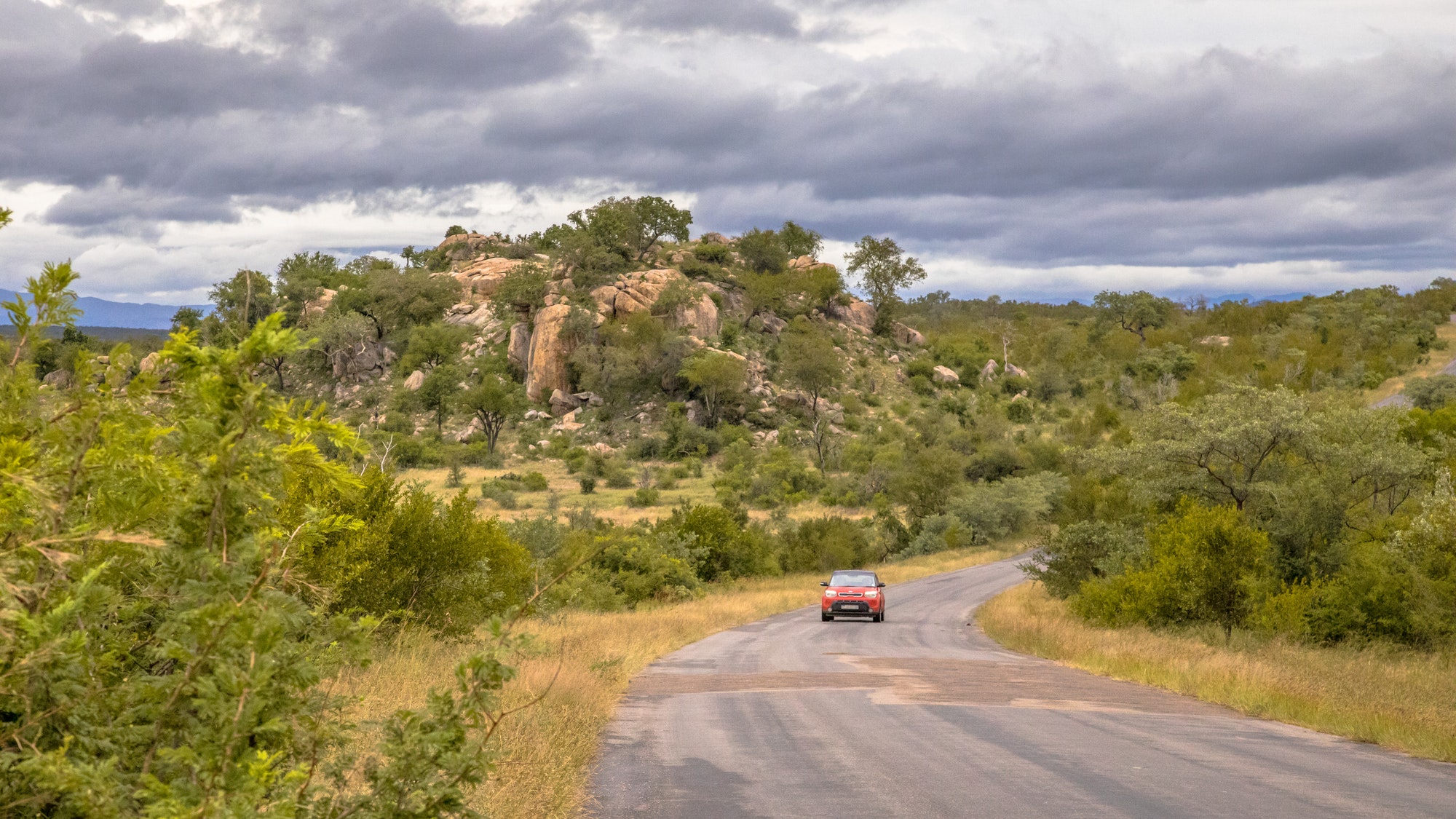 Vehicle in Kruger park