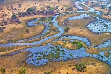 Aerial view, Okavango Wetlands, Okavango Delta, Botswana